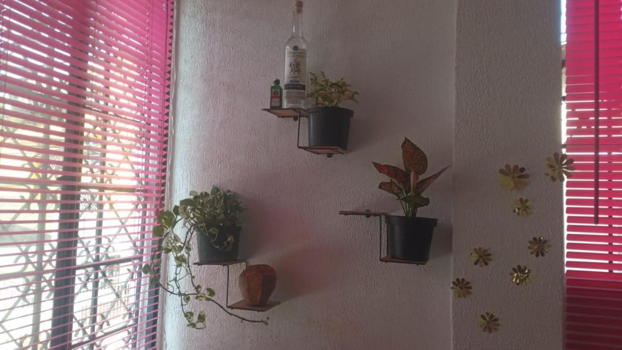 CartagenaCat Family Lodgingアパートメント エクステリア 写真